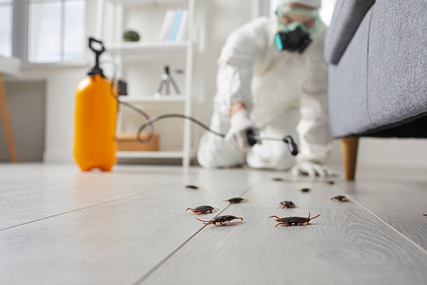 Post-Treatment Bed Bug Interceptor Monitoring in Yadkinville