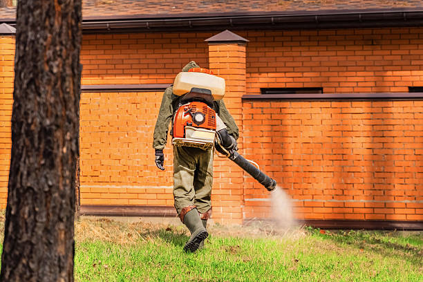 Bed Bug Clearance Verification and Documentation in Yadkinville